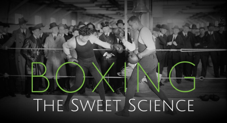 boxing-sweet-science-2