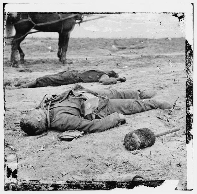 88305d0d82c16a6fe849564b6cd0176a