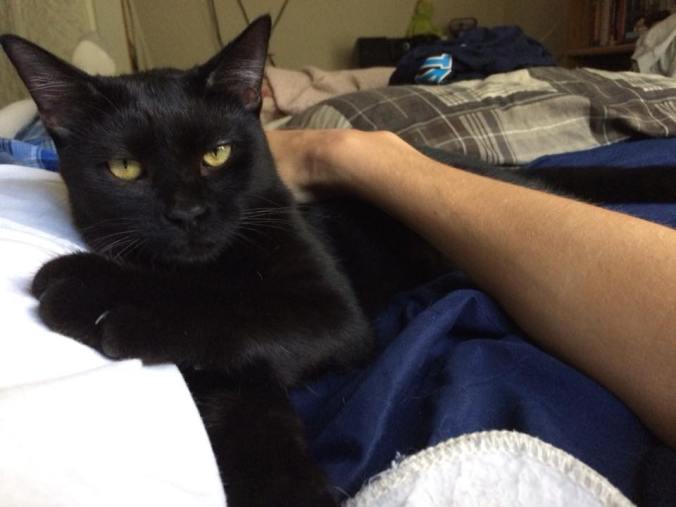 23659189_748748698661418_7613155992058316779_n